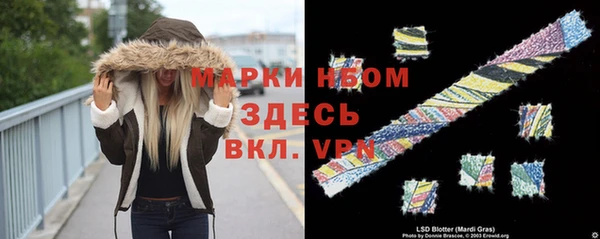 молекула духа Няндома