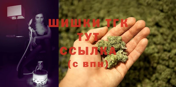 молекула духа Няндома