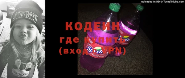молекула духа Няндома