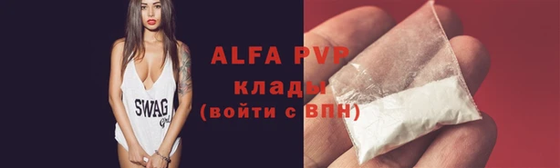 молекула духа Няндома