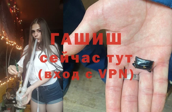 молекула духа Няндома