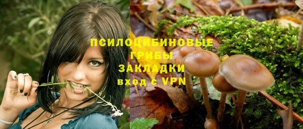 дмт Осинники