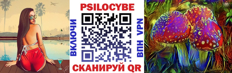 Галлюциногенные грибы MAGIC MUSHROOMS  darknet Telegram  Константиновск 